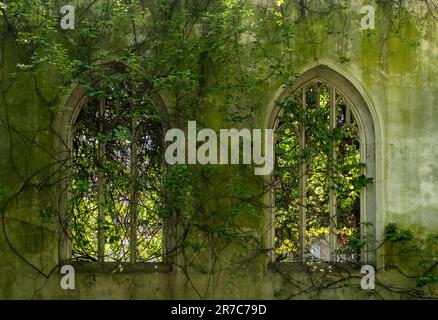 Carved stone windows of St Dunstan church in City of London covered with foliage Stock Photo