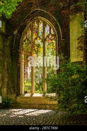 Carved stone windows of St Dunstan church in City of London covered with foliage Stock Photo