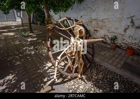 Skeleton in a Crushing Wheel at Inquisition Museum in the Palace of the Forgotten (Palacio de los Olvidados) - Granada, Andalusia, Spain Stock Photo