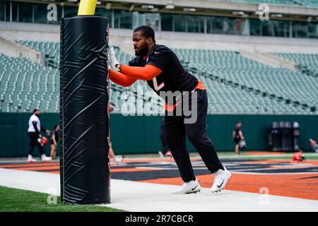 Cincinnati Bengals defensive tackle BJ Hill (92) performs a drill during  practice at the team's NFL football training facility, Tuesday, June 13,  2023, in Cincinnati. (AP Photo/Jeff Dean Stock Photo - Alamy