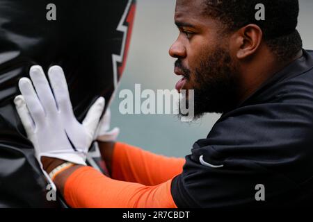 Cincinnati Bengals defensive tackle BJ Hill (92) prepares to perform a  drill during the NFL football team's training camp, Thursday, July 27,  2023, in Cincinnati. (AP Photo/Jeff Dean Stock Photo - Alamy