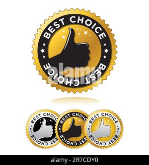Vector illustration set of four award stylish Best Choice labels / seals / signs in gold and silver for your business. Tag labels are isolated on w... Stock Vector