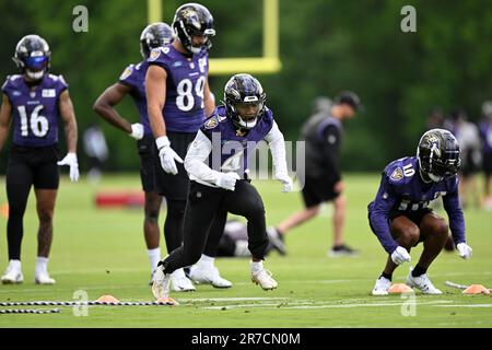 Baltimore Ravens wide receiver Zay Flowers (4) reacts after making a catch  during an NFL football game against the Cincinnati Bengals, Sunday, Sept.  17, 2023, in Cincinnati. (AP Photo/Jeff Dean Stock Photo - Alamy