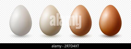 6 Six Vector 3d Realistic White, Brown Chicken Eggs in Opened Carton Paper Box, Container, Packaging. Textured Chicken Egg Set, Isolated. Vector Stock Vector