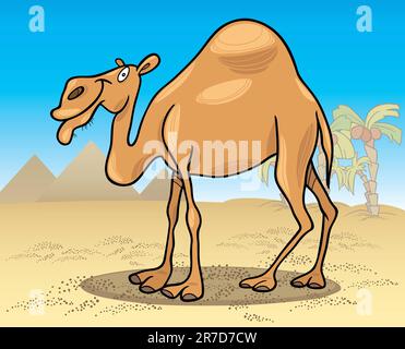 cartoon illustration of dromedary camel on desert Stock Vector