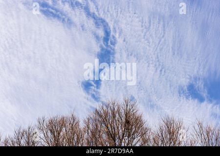 Photograph of Prefrontal Cirrus clouds. Stock Photo