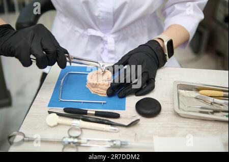 Close-up prosthetic engineer, dentist, orthodontist working with gypsum jaw in medical clinical lab. Dental prosthesis Stock Photo