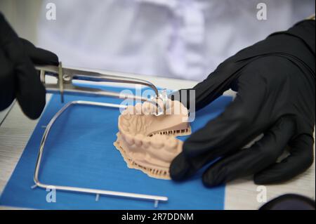 Close up of gypsum jaw. Dentist in surgical gloves works on dental implant in medical lab. Prosthetic engineer at work Stock Photo