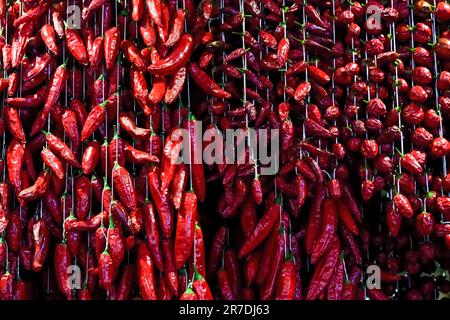 Collection of hot peppers in Madeira market, Portugal Stock Photo