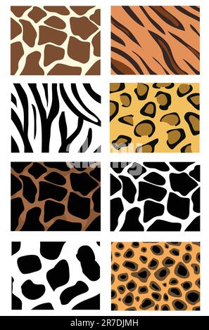 illustration of animal skin textures, background patterns Stock Vector