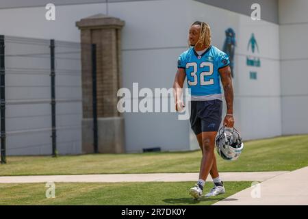 Carolina Panthers quarterback Andy Dalton (14) drops back to pass during an NFL  preseason football game against the Detroit Lions, Friday, Aug. 25, 2023,  in Charlotte, N.C. (AP Photo/Brian Westerholt Stock Photo - Alamy