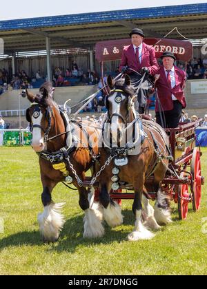 Royal Bath and West Show 2023, Bath and West showground, Somerset Stock Photo