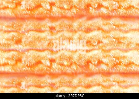 Blurred seamless background. Abstract warm background with glowing light with bokeh. Yellow-orange gradient background. Copy space Stock Photo