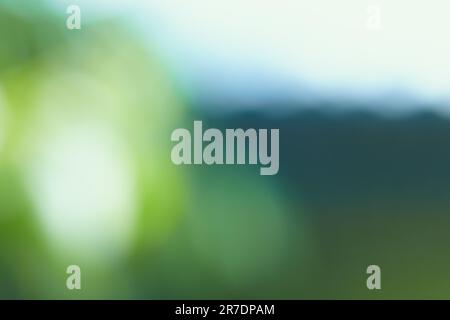 Blurred gradient white, dark blue, green background. The concept of natural elements, gradient. Abstract bokeh background. Multicolor background for t Stock Photo