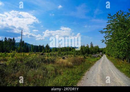 Renatured diabase quarry near Wolfshagen in the Harz Mountains. Hiking Trail of the Stones in the Harz National Park. Stock Photo