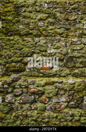 Rocky stone wall with moss background. Stock Photo