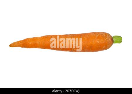 Fresh carrot isolated on white background. Stock Photo