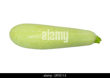 Raw green ripe zucchini isolated on white background. Zucchini or marrow isolated on white. Fresh organic marrow zucchini squash vegetable isolated Stock Photo