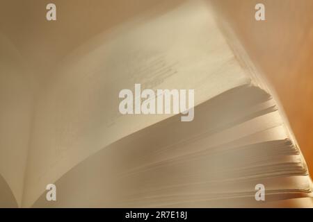Abstract blurred background of sheets of an old book. Macro view of the pages of a book. Copy space for text. Book open pages Stock Photo