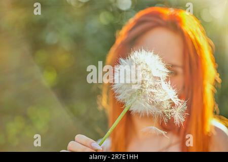 Blurred photo of a young girl with red hair who is holding a big dandelion. Big ripe white dandelion in female hands. A girl with red hair holds a dan Stock Photo