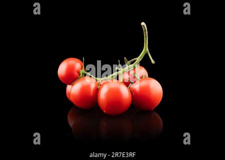 Branch of Cherry Tomato Isolated on black background. Fresh cherry tomatoes isolated on black. Tomato isolated Stock Photo
