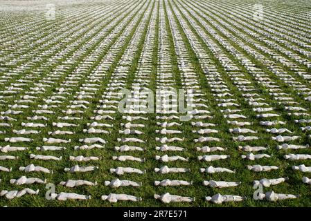 Shrouds of the Somme artwork commemorating the 72,396 British Commonwealth servicemen with no known grave Stock Photo