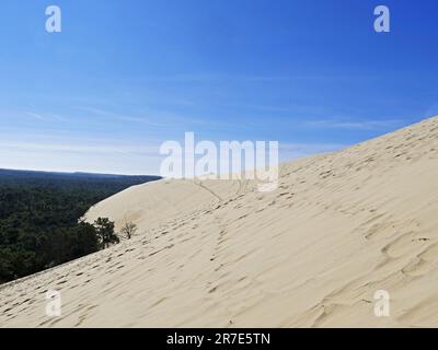 The Pilat Dune or Pyla Dune, on the edge of the forest of Landes de Gascogne on the Silver Coast at the entrance to the Arcachon Basin, is the highest Stock Photo