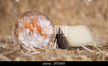 head and chunks of aged hard cheese in hayloft Stock Photo