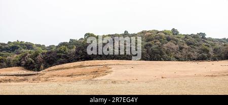 Khasi sacred grove Stock Photo