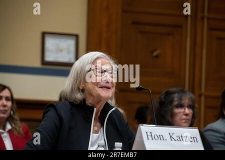 Washington, United States Of America. 14th June, 2023. Joe Edlow, Managing Member, The Edlow Group; former Acting Director of U.S. Citizenship and Immigration Services (USCIS), U.S. Department of Homeland Security, appears before a House Committee on Homeland Security hearing 'Open Borders Closed Case: Secretary Mayorkas Dereliction of Duty on the Border Crisis' in the Cannon House Office Building in Washington, DC, Wednesday, June 14, 2023. Credit: Rod Lamkey/CNP/Sipa USA Credit: Sipa USA/Alamy Live News Stock Photo