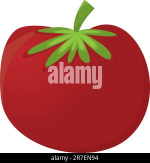 Red Tomato . Vector Illustration Stock Vector