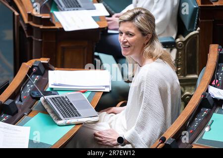 Brussels, Belgium. 15th June, 2023. Interior Minister Annelies Verlinden pictured during a plenary session of the Chamber at the Federal Parliament in Brussels on Thursday 15 June 2023. BELGA PHOTO JAMES ARTHUR GEKIERE Credit: Belga News Agency/Alamy Live News Stock Photo