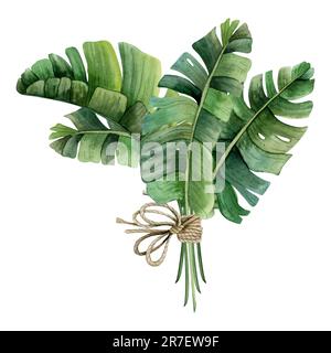 Tropical palm leaves of monstera or banana bouquet with rope bow watercolor illustration. Trendy style summer clipart Stock Photo