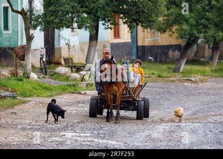 Driving a Horse Carriage in the Village of Viscri in Romania Stock Photo