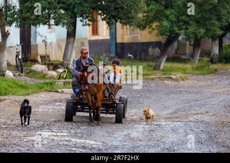 Driving a Horse Carriage in the Village of Viscri in Romania Stock Photo