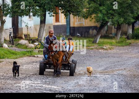 Driving a Horse Carriage in the Village of Viscri in Romania Stock Photo