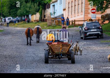 Driving a Horse Carriage in the Village of Viscri in Romania Stock Photo