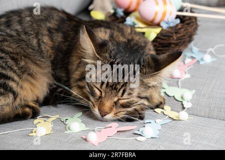 The Easter cat sleeps among a garland of rabbits and a basket of painted eggs Stock Photo