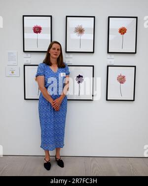 Entries for the show have been through a meticulous pre-selection process, where the scientific accuracy, technical skill and aesthetic appeal of the work are reviewed by an expert judging panel prior to the show opening, with artists and photographers awarded RHS Gold, Silver-Gilt, Silver, and Bronze medals, as well as a series of special awards including ‘Best Botanical Art Exhibit’ and ‘Judge’s Special Award’.  In 2023, a diverse range of subjects will be presented by participants from around the world. Artists depict plants of ecological importance ... Stock Photo