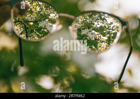 Looking through myopia (shortsightedness) glasses on blooming spring trees garden in focus with blurry background. Nearsighted refractive lenses outdo Stock Photo