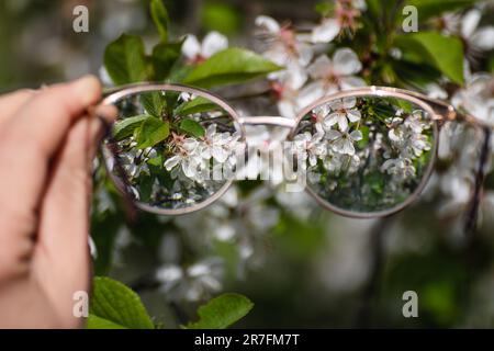 Myopia glasses close-up in woman hands, blooming spring garden flowers in focus with blurry background. Nearsighted refractive lenses outdoors in natu Stock Photo