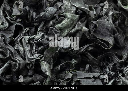 Cuts of dried wakame seaweed close up full frame as background Stock Photo