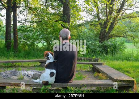An elderly man sitting on a bench with his dog. Dog and its owner in nature. The concept of friendship between man and dog. Stock Photo