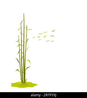 The illustration a wind breaks bamboo leaves, isolated on a white background - vector Stock Vector