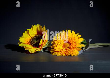 Yellow flowers on blue background. Still life Stock Photo