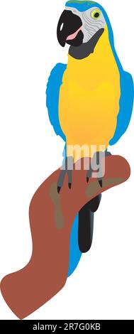 The parrot sits on a branch Stock Vector