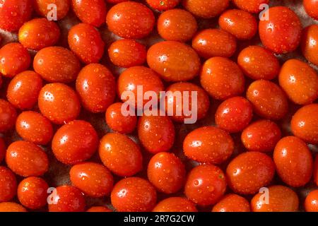 Red Raw Organic Cherry Tomatoes Ready to Eat Stock Photo