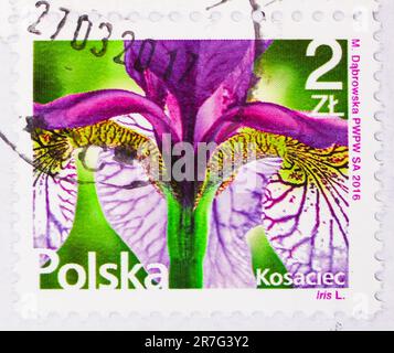 MOSCOW, RUSSIA - JUNE 8 2023: Postage stamp printed in Poland shows ,  serie, circa 2016 Stock Photo