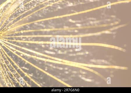 Blurry pastel bokeh. Abstract background. Diagonal and vertical stripes of yellow lines.Blurred pastel abstract background. Holiday lights. Background Stock Photo