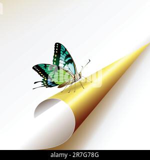 Curled corner with butterfly, vector illustration Stock Vector